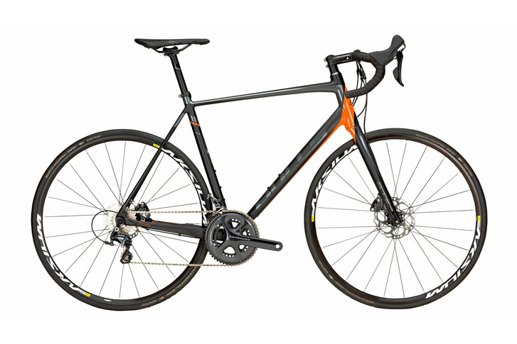 Desert Falcon Disc